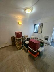 Blk 252 Hougang Avenue 3 (Hougang), HDB 3 Rooms #500648641